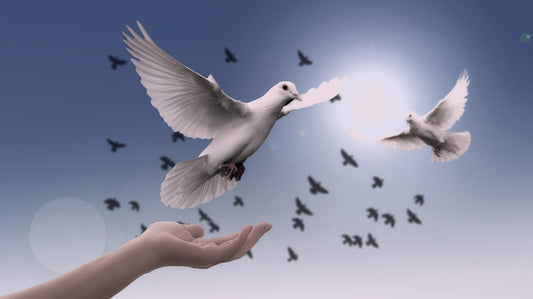 Forgiveness: How to Let Go, Heal, and Walk in God’s Freedom